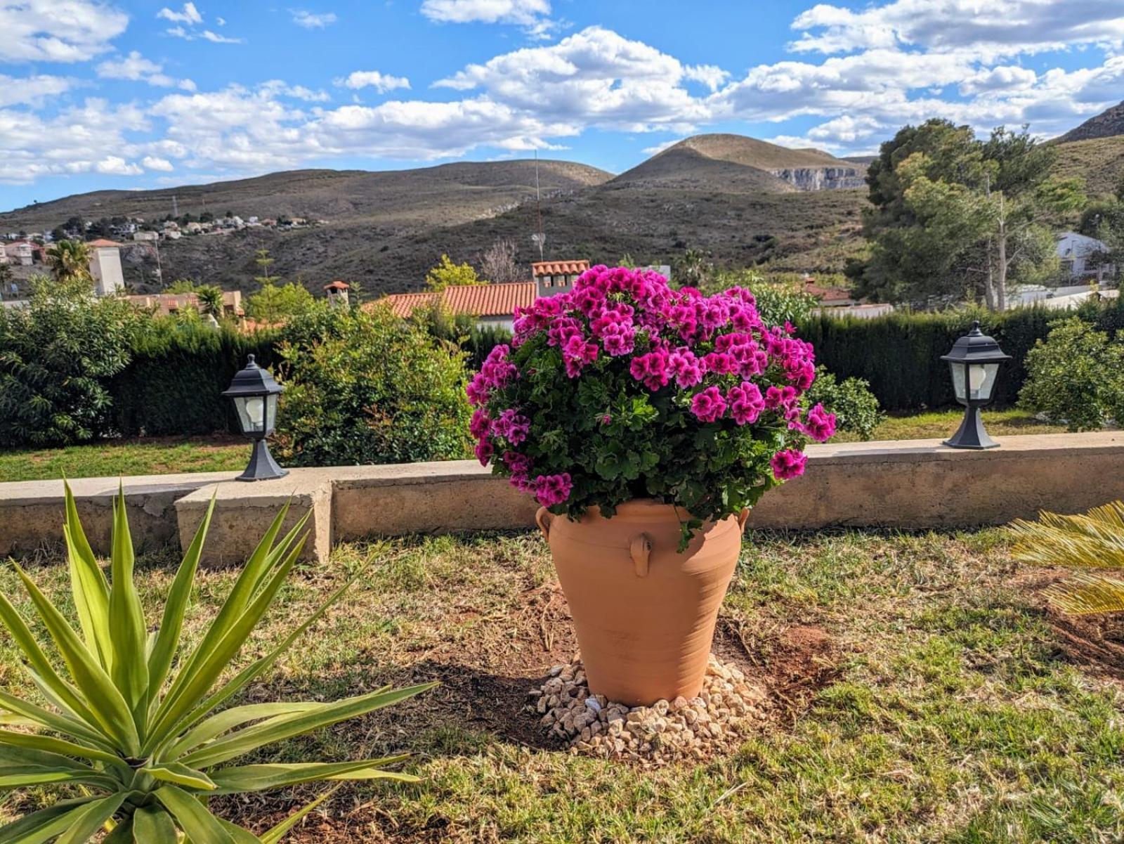 Buen Estar, Piscina, Barbacoa, Jacuzzi En Valencia Villa Turís Dış mekan fotoğraf