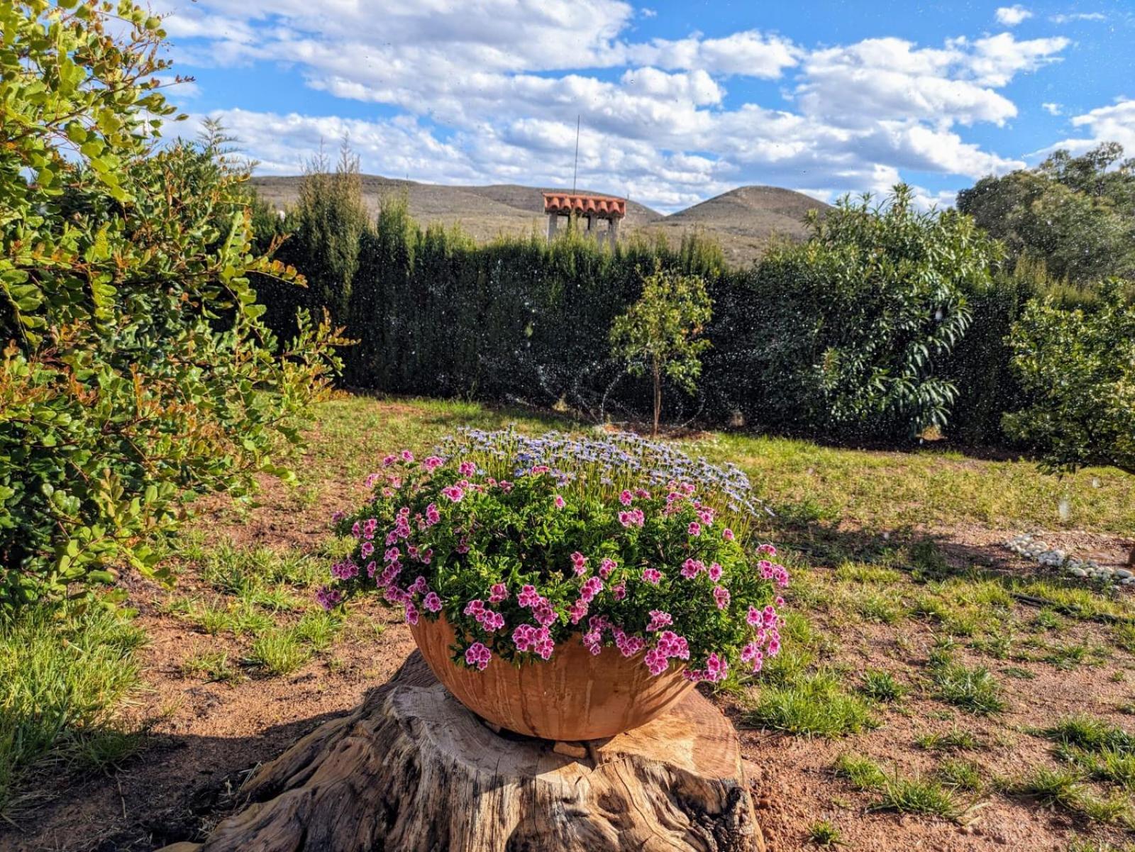 Buen Estar, Piscina, Barbacoa, Jacuzzi En Valencia Villa Turís Dış mekan fotoğraf